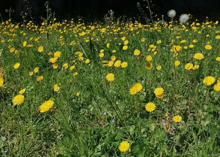 Kps Дом отдыха *